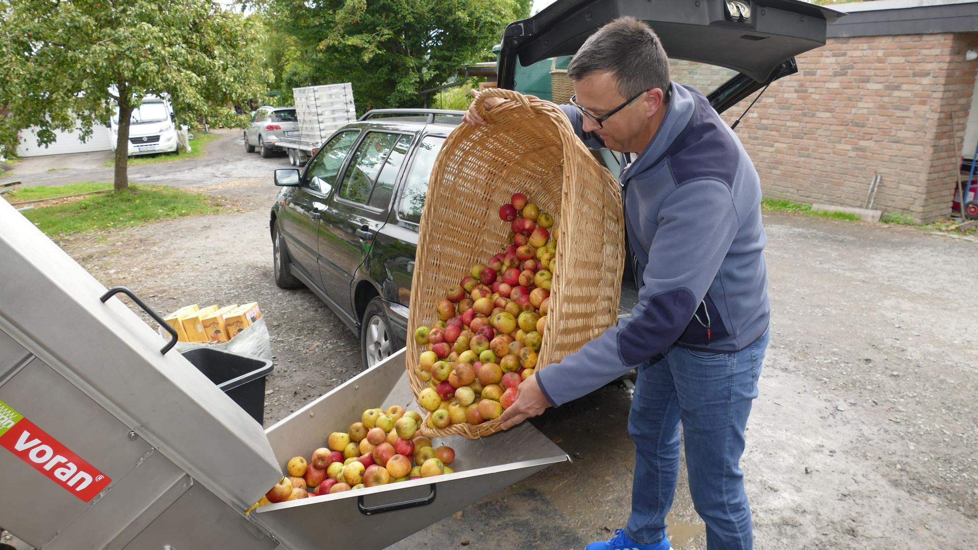 Der Spätsommer ist die Zeit, in der die Äpfel reif werden.