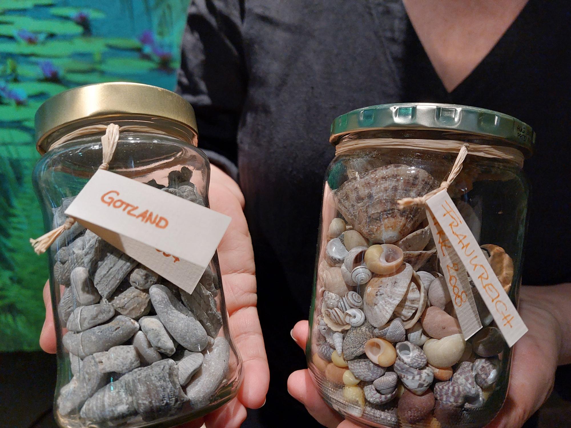 Dr. Gundula Caspary ist Leiterin des Stadtmuseums in Siegburg. Sie bringt von Stränden und Küsten Steine und Muscheln mit, die sie immer sorgsam beschriftet.