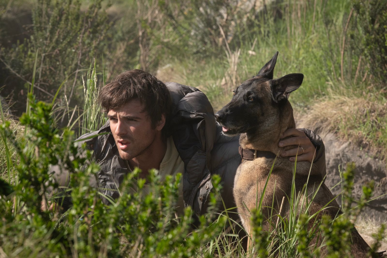 In der Romanverfilmung „Das Ende der Sterne“ spielt Jacob Elordi einen Mann, der mit einem treuen Hund postapokalyptischen Welt ums Überleben kämpft. (Bild: 20th Century Studios/Fabio Lovino)