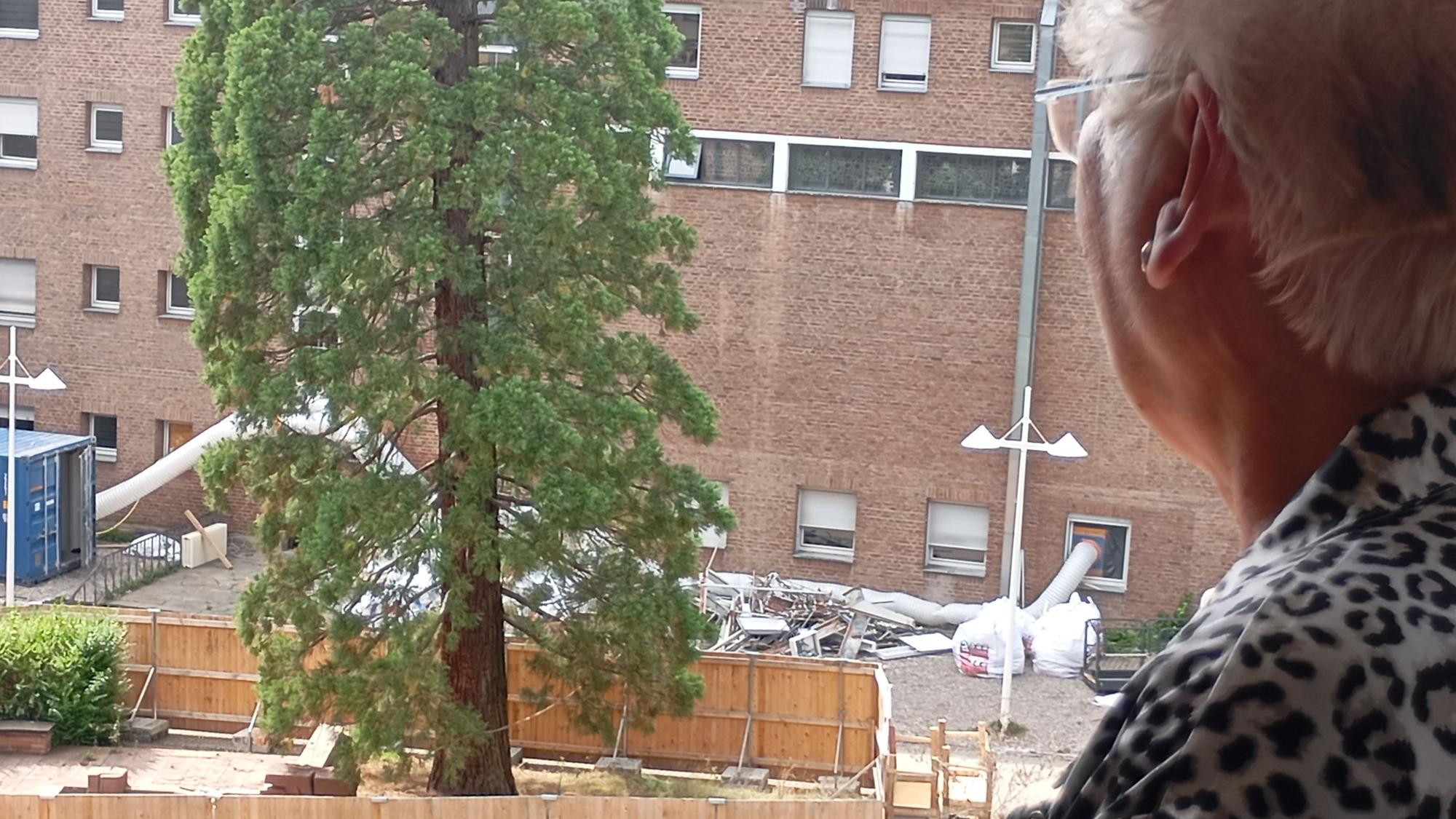 Zu sehen ist eine Frau, die aus einem Fenster in einen Innenhof schaut.