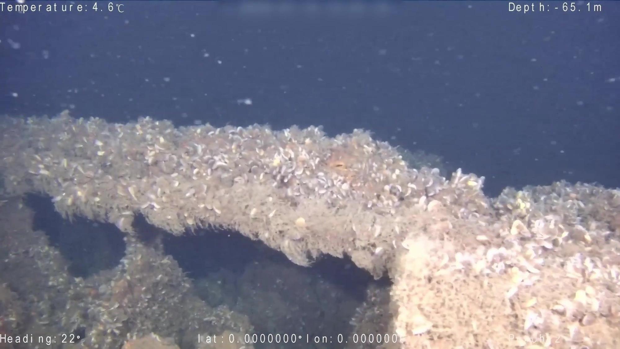 Die von der Kriegsgräberfürsorge zur Verfügung gestellte Unterwasseraufnahme zeigt Teile des gesunkenen U-Boots U-583 östlich der Insel Bornholm in der Wirtschaftszone Polens.