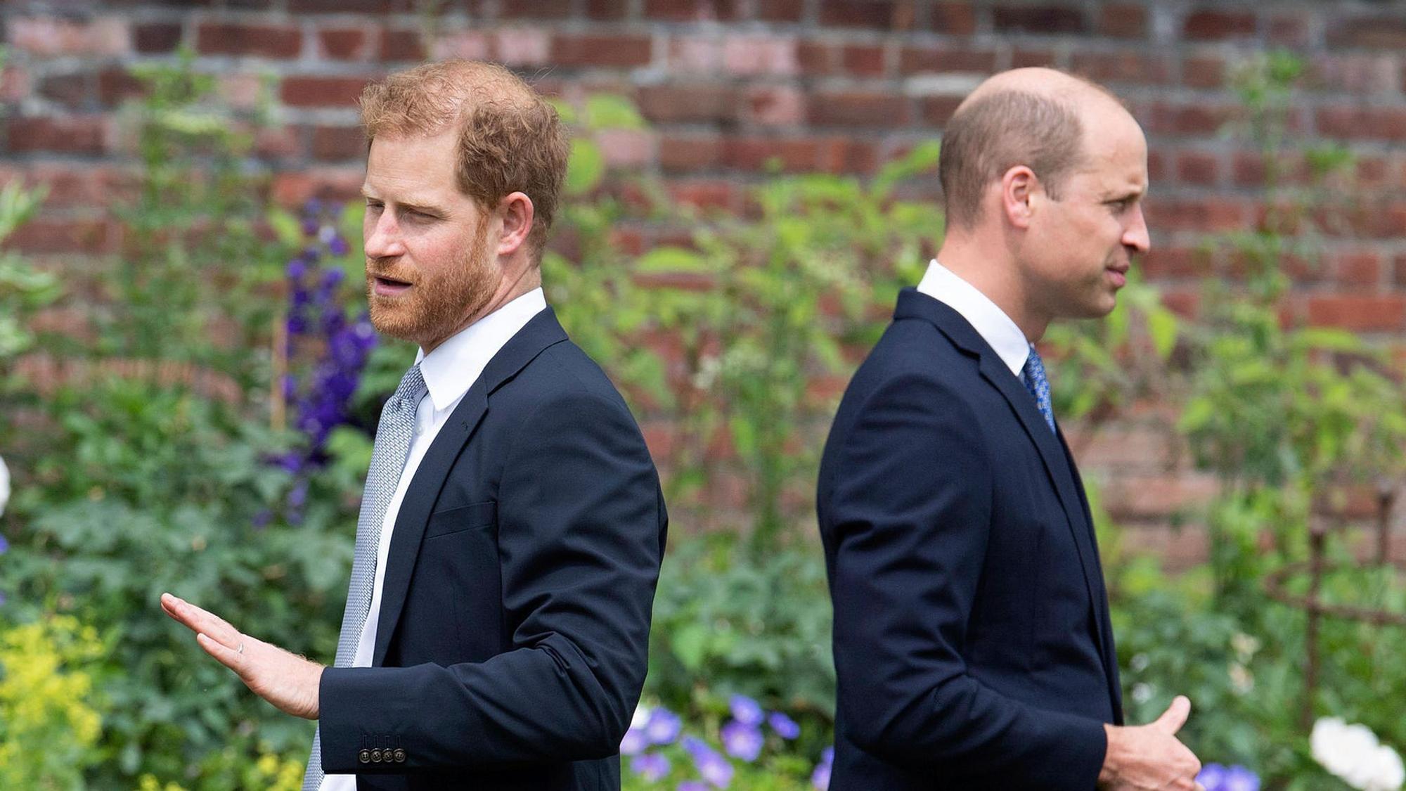 Prinz William und Prinz Harry stehen hintereinander.