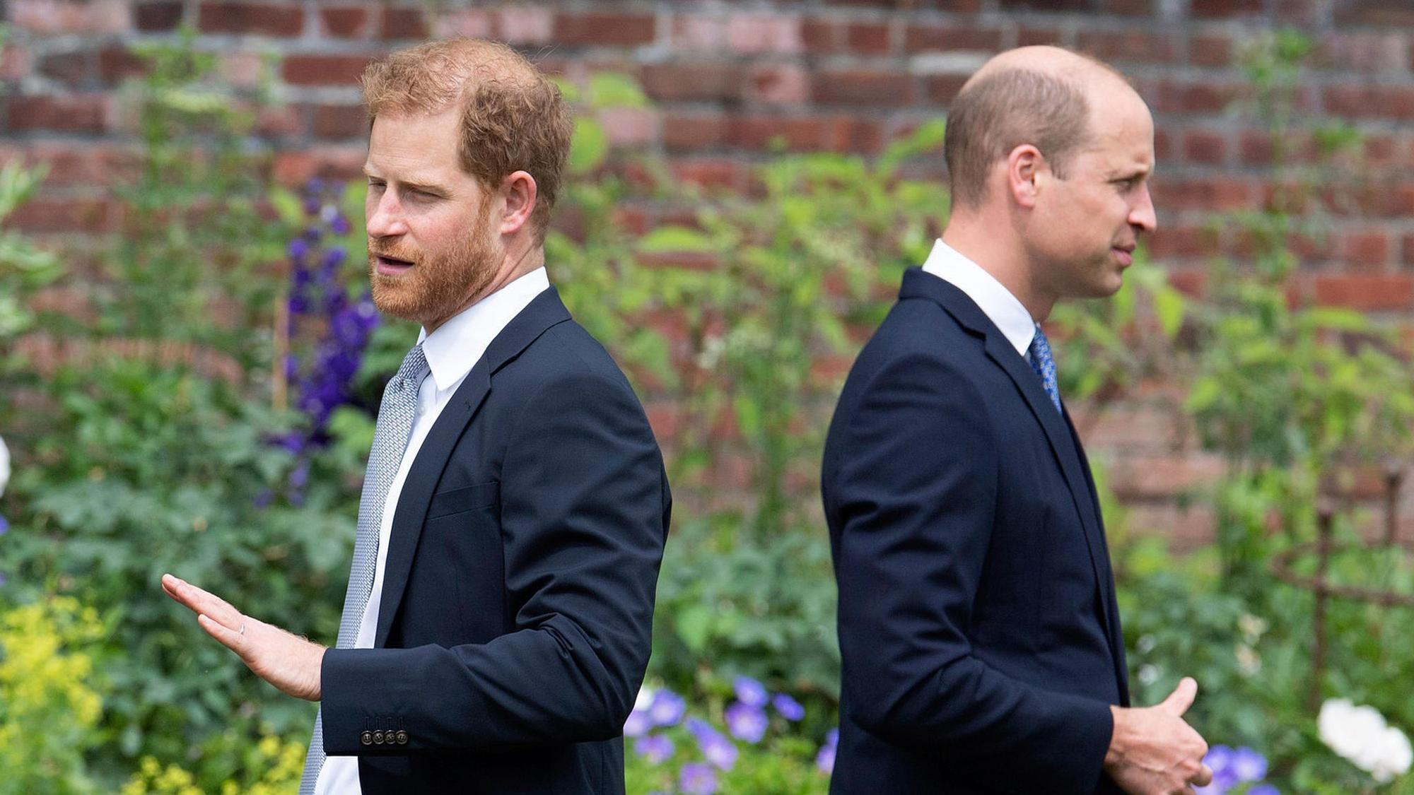 Prinz William und Prinz Harry