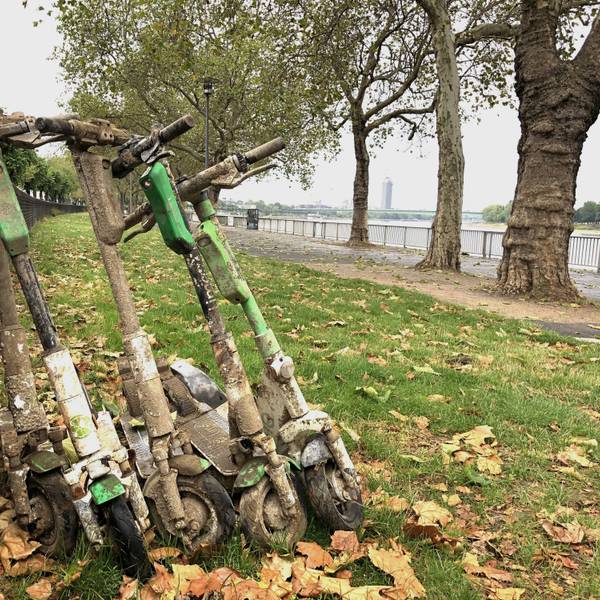 E-Scooter, die offenbar aus dem Rhein geholt wurden, stehen am Konrad-Adenauer-Ufer.