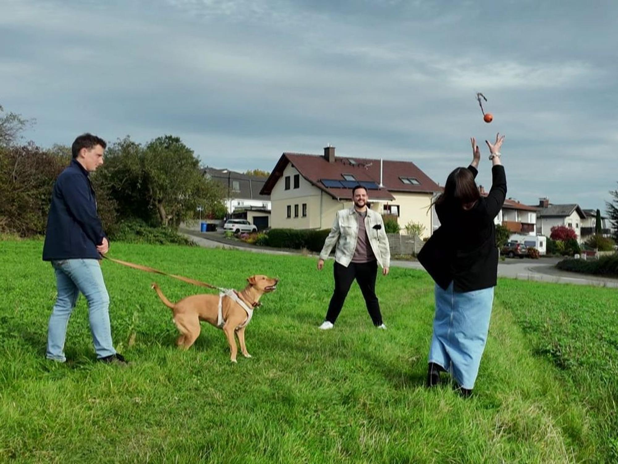 Hundetrainer Marcel (links) trainiert mit Maurice, Marie und ihrem Hund Carlo. (Bild: RTL)