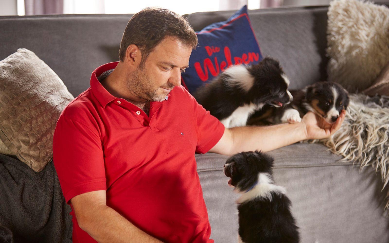 Mit Vierbeinern kennt sich „Hundeprofi“ Martin Rütter aus. Doch auch er liegt nicht immer richtig. (Bild: RTL / Arya Shirazi )
