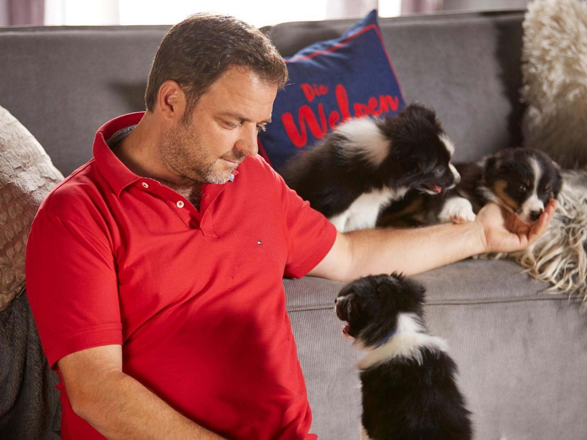 Mit Vierbeinern kennt sich „Hundeprofi“ Martin Rütter aus. Doch auch er liegt nicht immer richtig. (Bild: RTL / Arya Shirazi )
