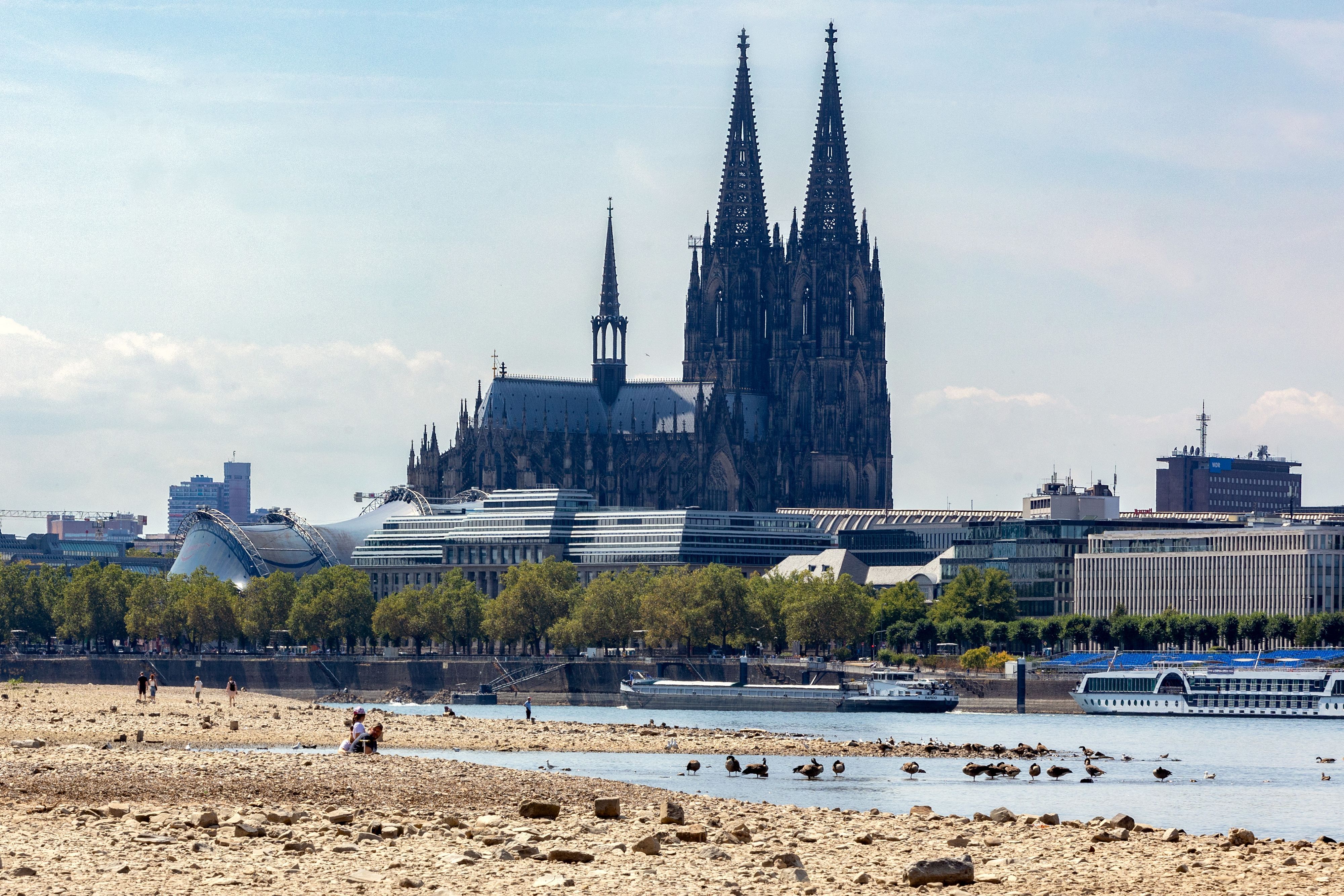 Niedrigwasser in Köln, im Hintergrund der Dom.