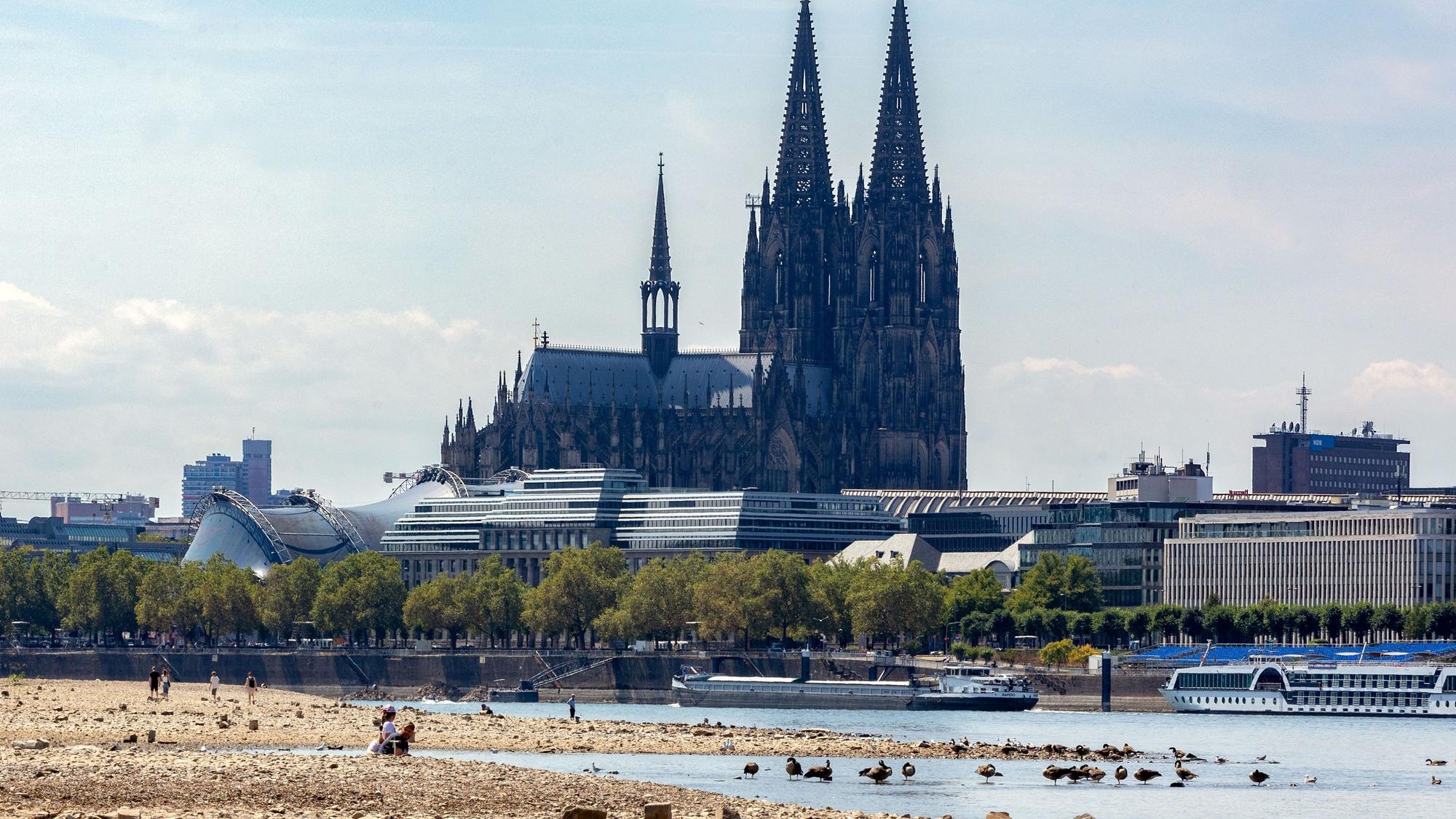 Niedrigwasser in Köln, im Hintergrund der Dom.