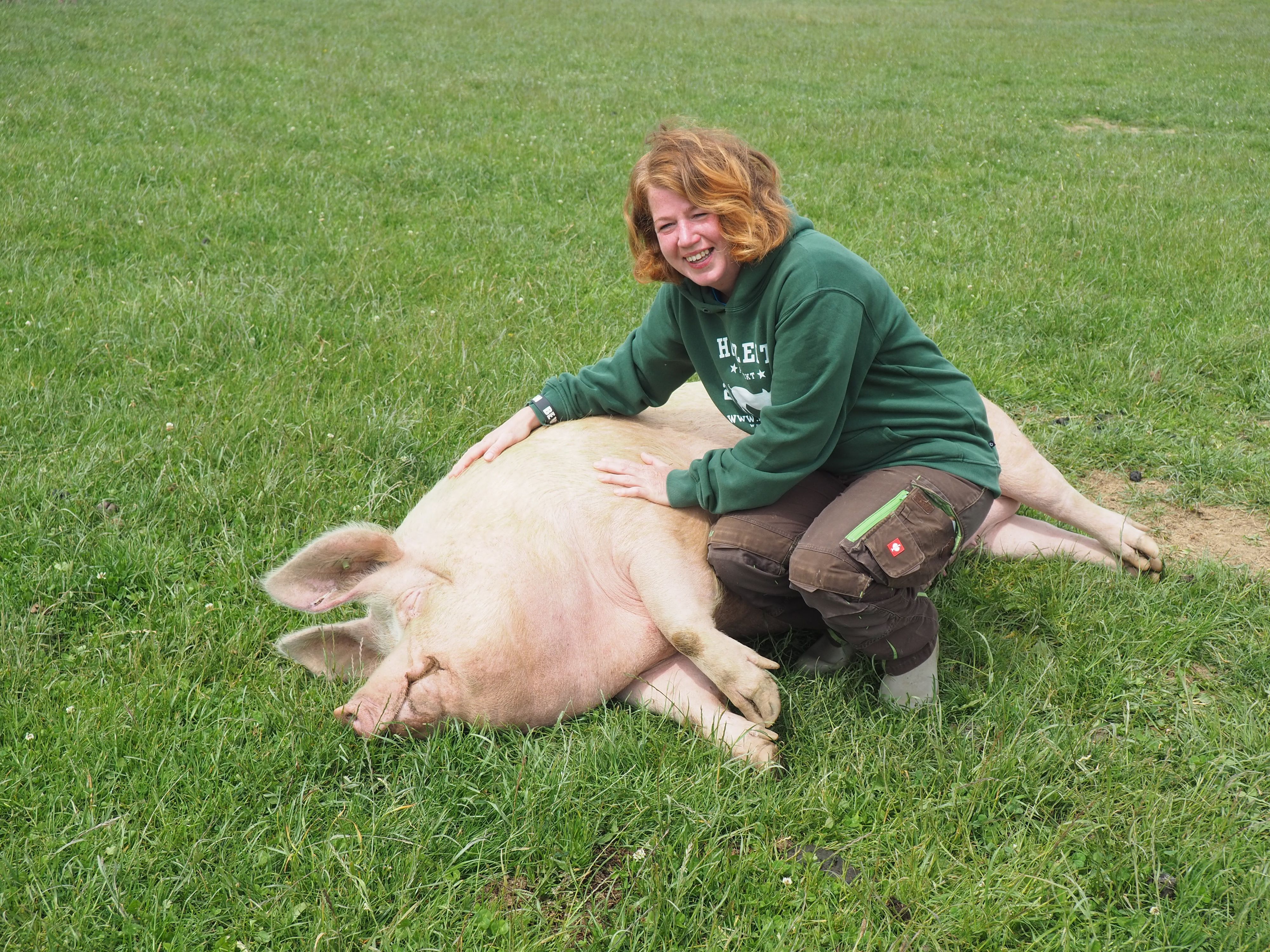 Eine Frau hockt neben einem Schwein und krault es.