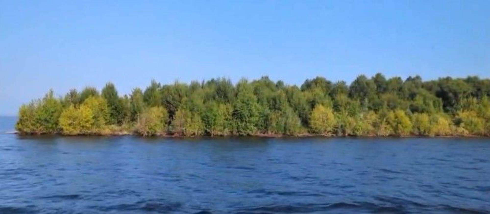 Eine bewaldete Insel ist in diesem Sommer auf dem Williston-Reservoir aufgetaucht.
