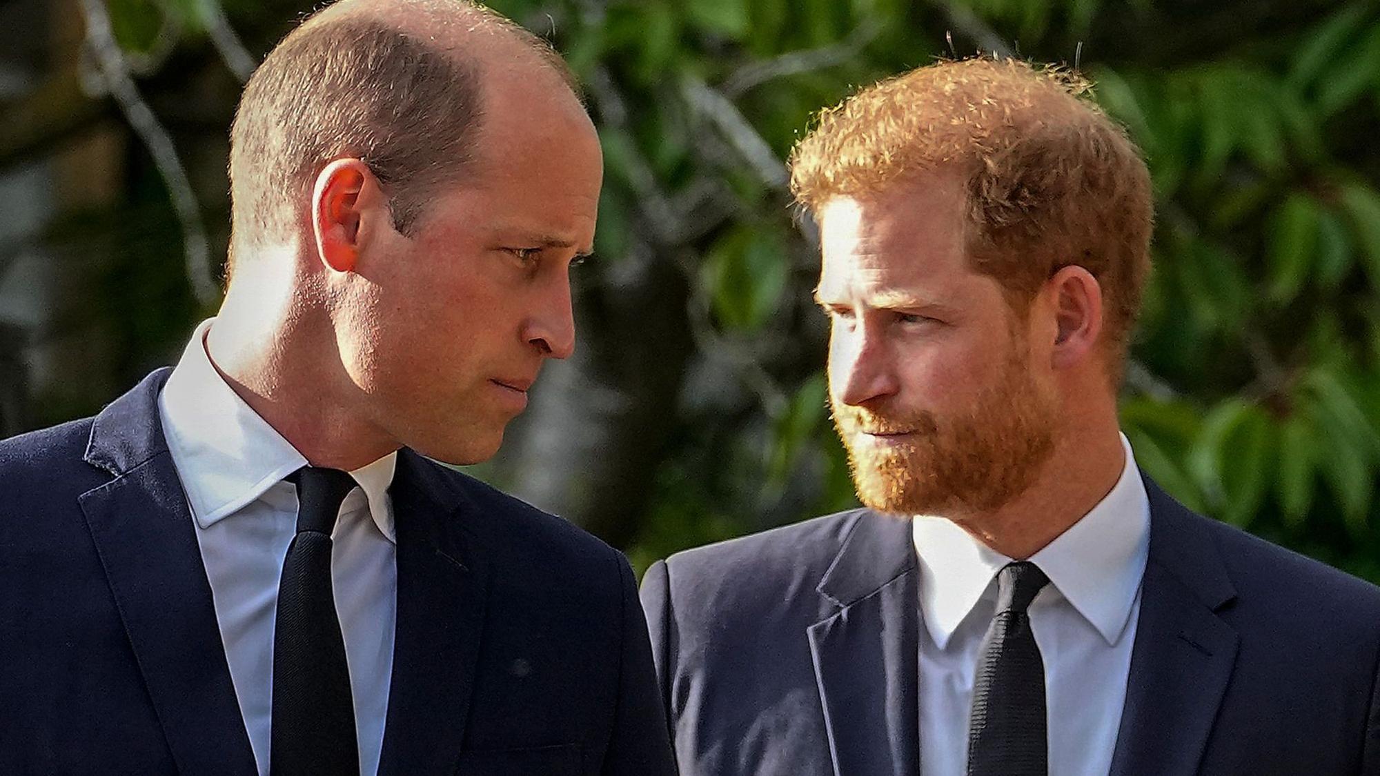 Prinz William und Prinz Harry stehen nebeneinander.
