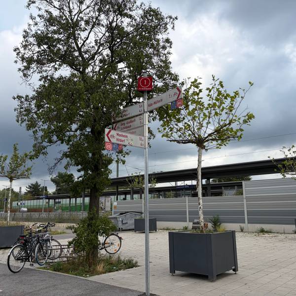 Baumkübel am Bahnhof Leverkusen Mitte