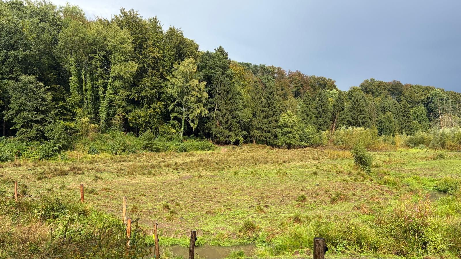 Neuer Lebensraum: Auf dem ehemaligen Seegrund im Diepental ist eine artenreiche Landschaft entstanden.