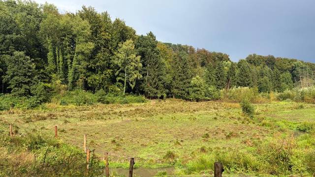 Neuer Lebensraum: Auf dem ehemaligen Seegrund im Diepental ist eine artenreiche Landschaft entstanden.