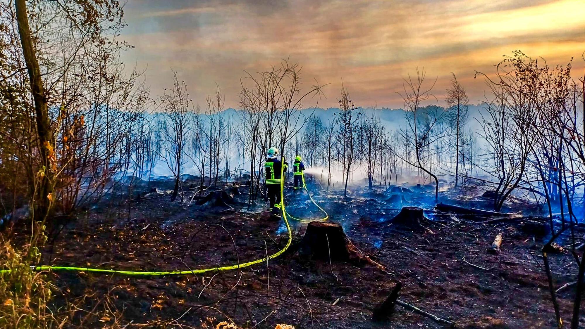 Das Bild zeigt zwei Feuerwehrleute, die einen Waldbrand zwischen Flamersheim und Rheinbach bekämpfen.