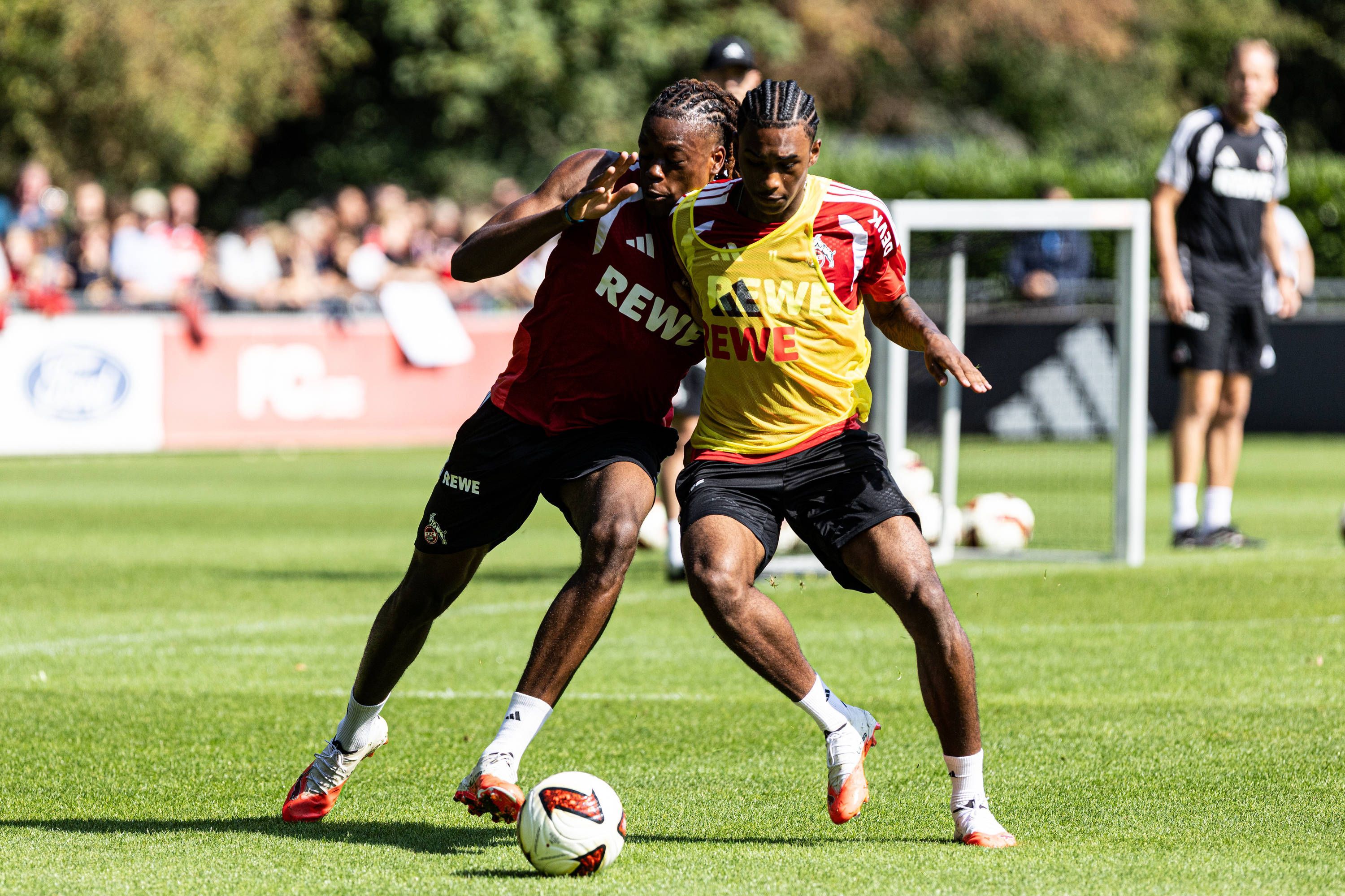 Elias Bakatukanda und Reigan Heskey liefern sich einen Zweikampf im Training des 1. FC Köln.