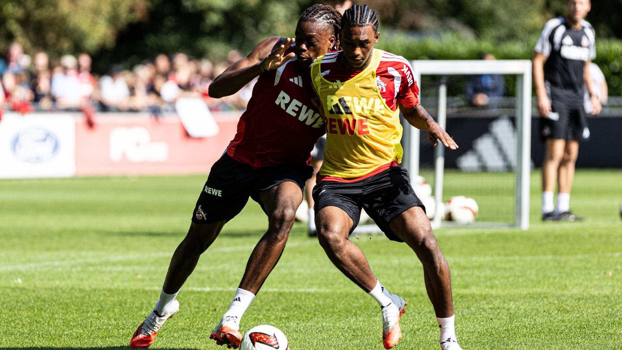 Elias Bakatukanda und Reigan Heskey liefern sich einen Zweikampf im Training des 1. FC Köln.