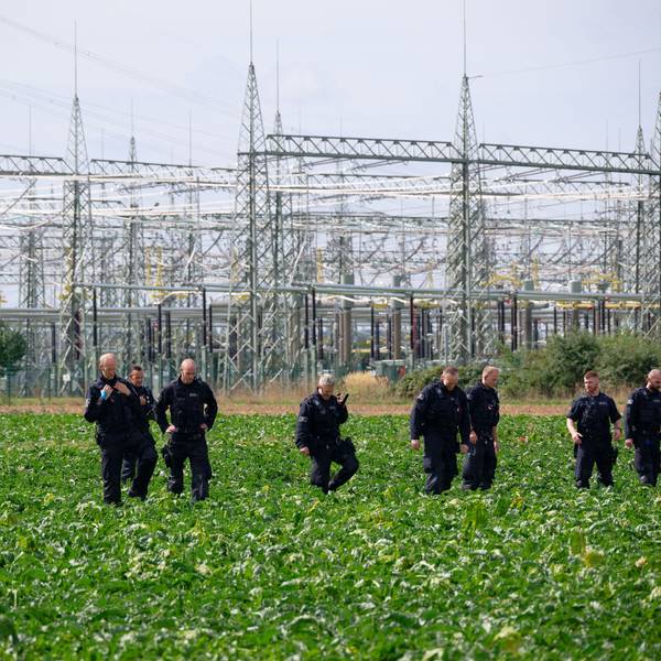 Polizisten suchen in der Umgebung des Umspannwerkes des Netzbetreibers Amprion in Bergheim ein Rübenfeld ab. Auf die Anlage wurde ein Anschlag verübt.