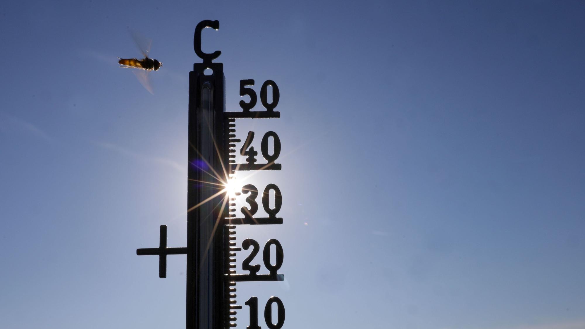 Die Hitzewellen werden auch durch El Niño zunehmen.