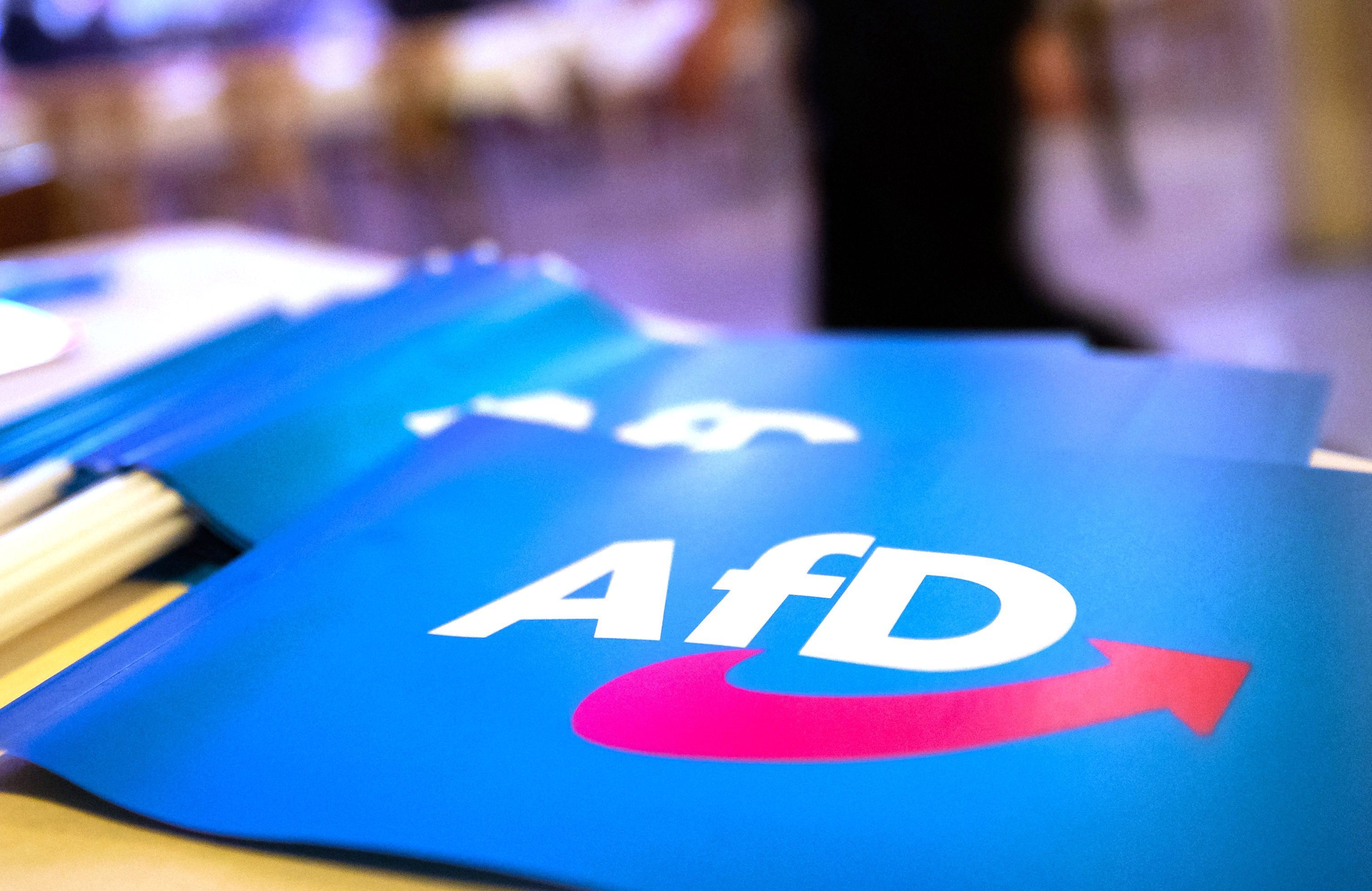 Fähnchen mit dem Logo der AfD liegen auf einem Tisch. (Symbolfoto)