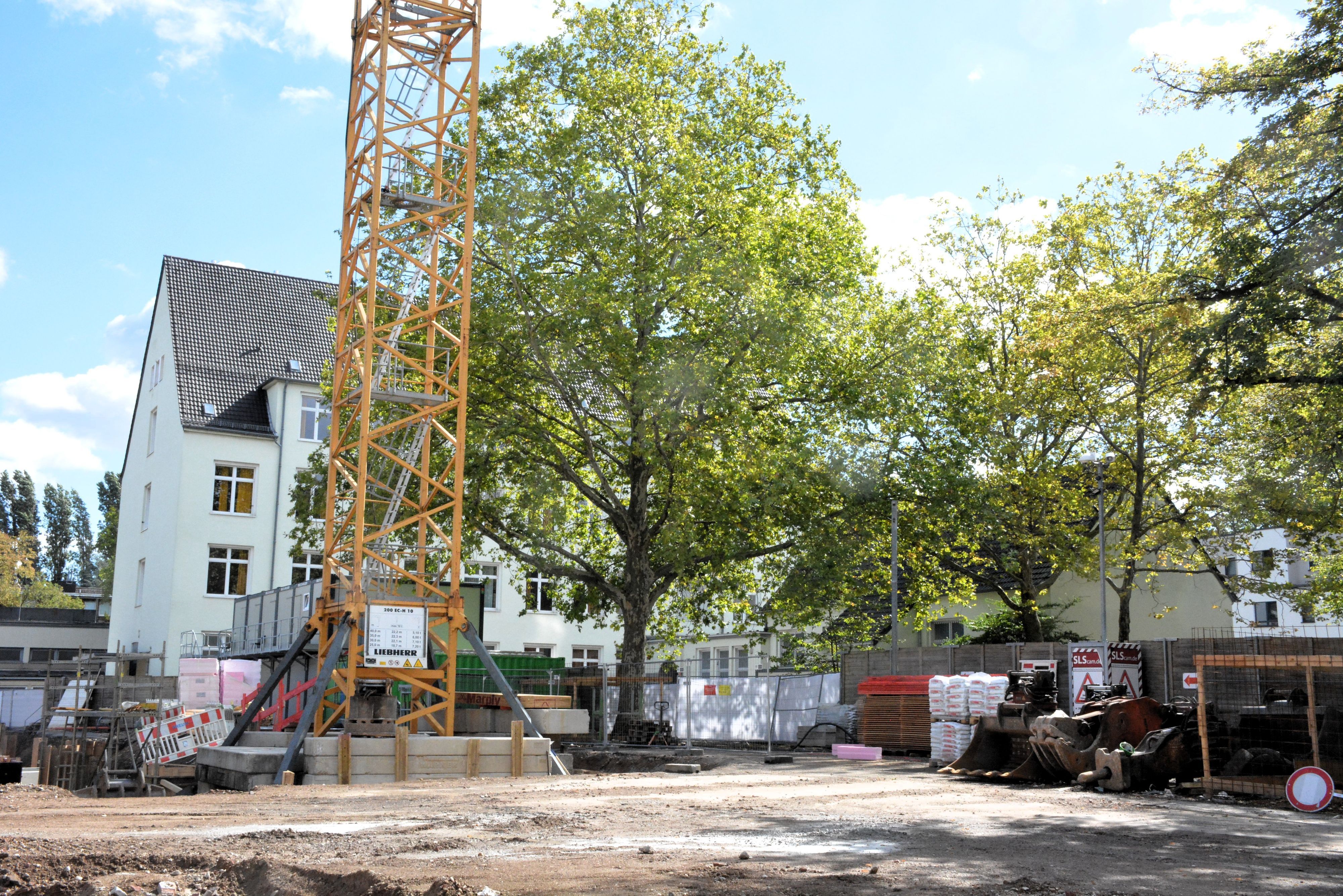 Ein großer Baum steht neben einem Baukran.
