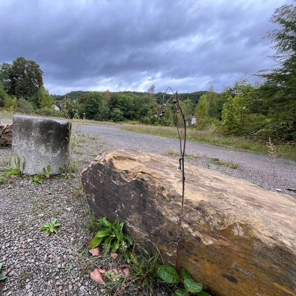 Auf der rund 5,8 Hektar großen Brachfläche Gauhes Wiese zwischen Siegdeich, Bahnhofstraße und Schoeller-Areal in Eitorf sollen 86 Wohneinheiten entstehen.