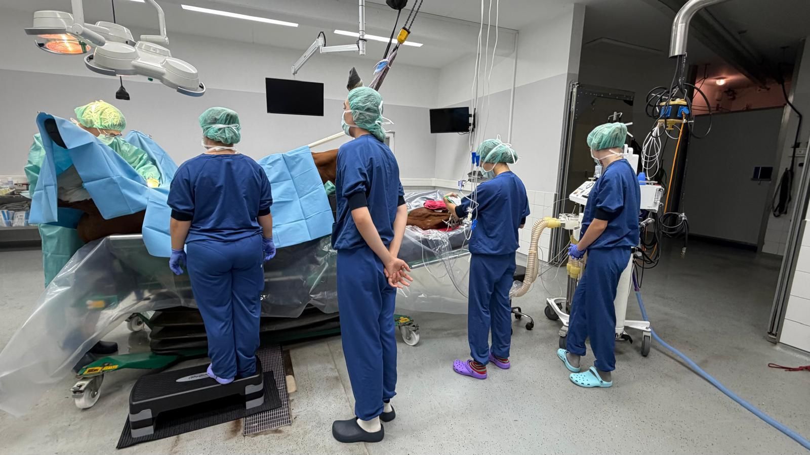 Bis zu 1500 Operationen werden jedes Jahr in der Pferdeklinik Leichlingen durchgeführt.