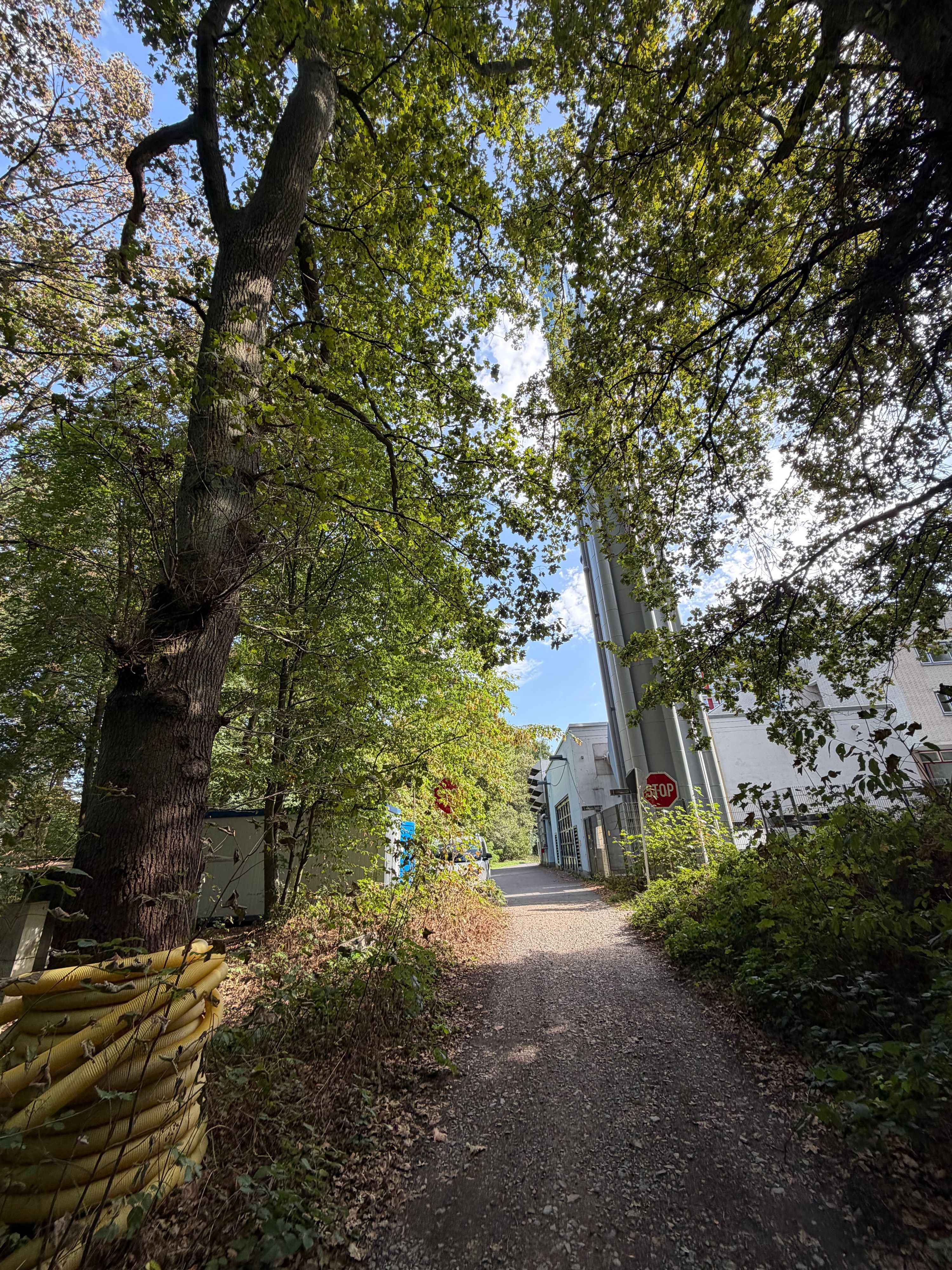 Der Beginn der Baustraße am Klinikumsgelände