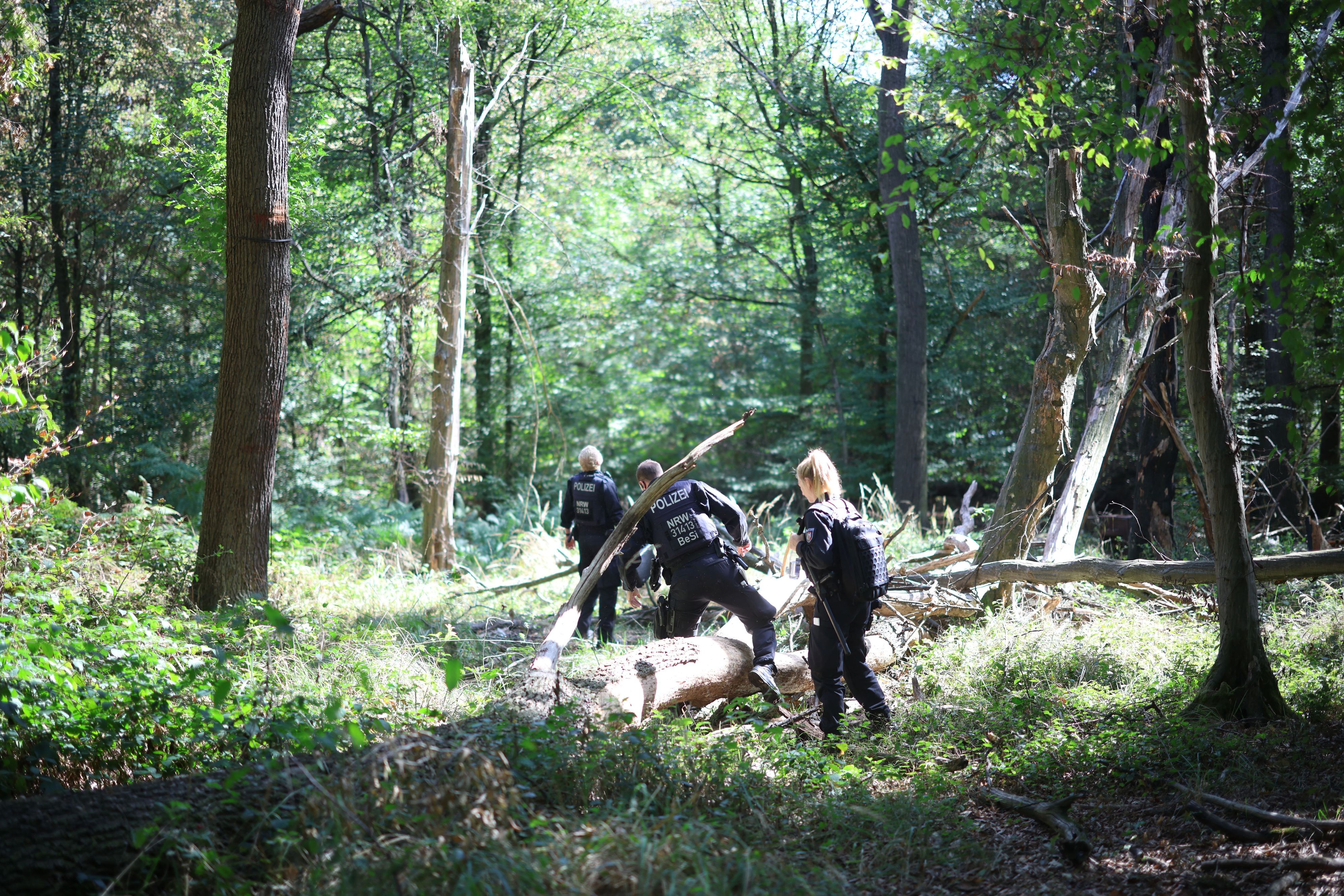 Polizeikräfte durchsuchen ein Waldstück bei einem Großeinsatz am Hambacher Forst. Wegen der Sabotage-Akte auf das deutsche Stromnetz wird seit Tagen nach einem 48 Jahre alten Tatverdächtigen gesucht.