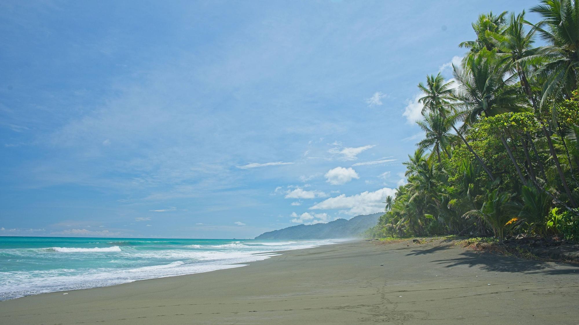 Carate Strand auf der Osa Halbinsel in Costa Rica