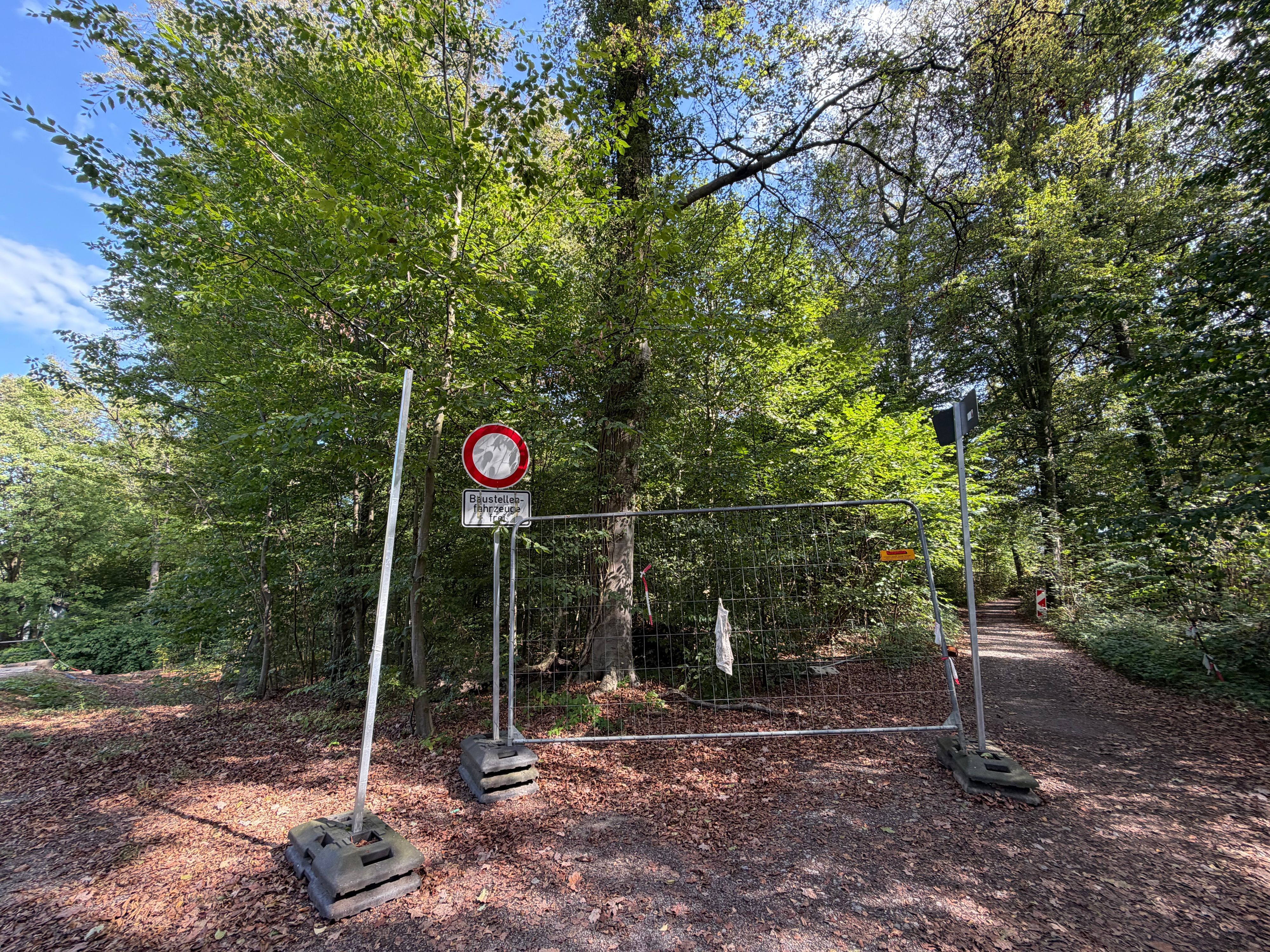 Diese Baustraße im Landschaftsschutzgebiet soll als Straße für den Rettungsdienst zum Klinikum ausgebaut werden.