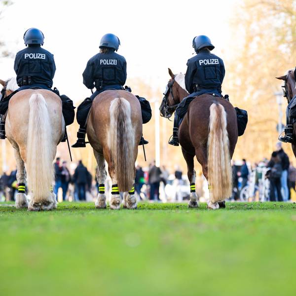 NRW-Eigentor: Der Landesrechnungshof fordert eine Beteilung der Fußball-Vereine bei Hochrisikospielen. Beispielsweise in der Spielzeit 2024/2025 seien für Polizeieinsätze in den ersten drei Ligen Gesamtkosten von rund 29,8 Millionen Euro entstanden.
