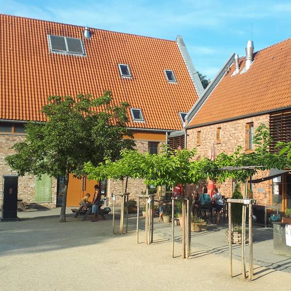 Zwei große Gebäude stehen hinter einer Baumreihe.