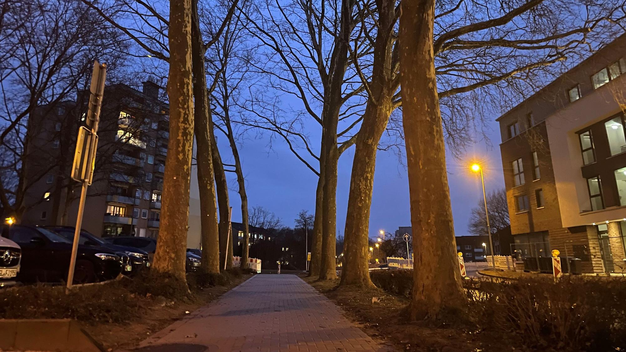 Leichlingen hat inzwischen eine Baumschutzsatzung, manchen geht sie allerdings nicht weit genug.
