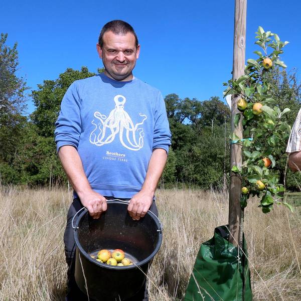 Zwei Männer stehen rechts und links von einem kleinen Apfelbaum.
