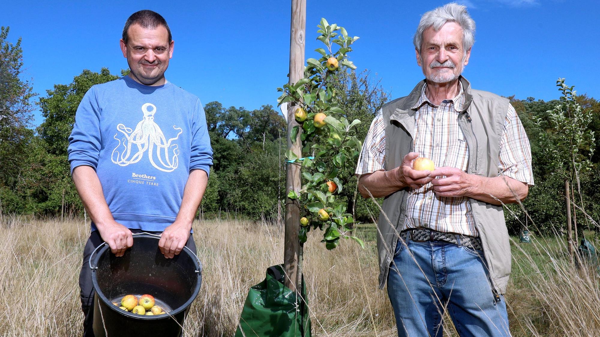 Zwei Männer stehen rechts und links von einem kleinen Apfelbaum.