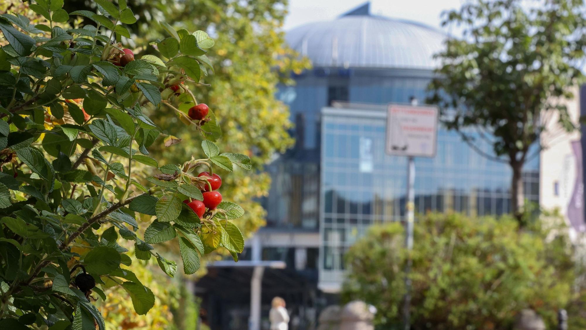 Auf dem Weg zum Cinedom. (Archivbild)