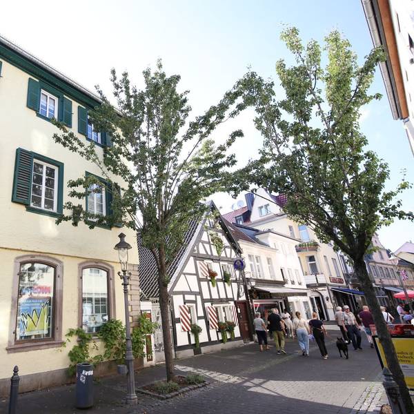 Die Fußgängerzone in der Altstadt-