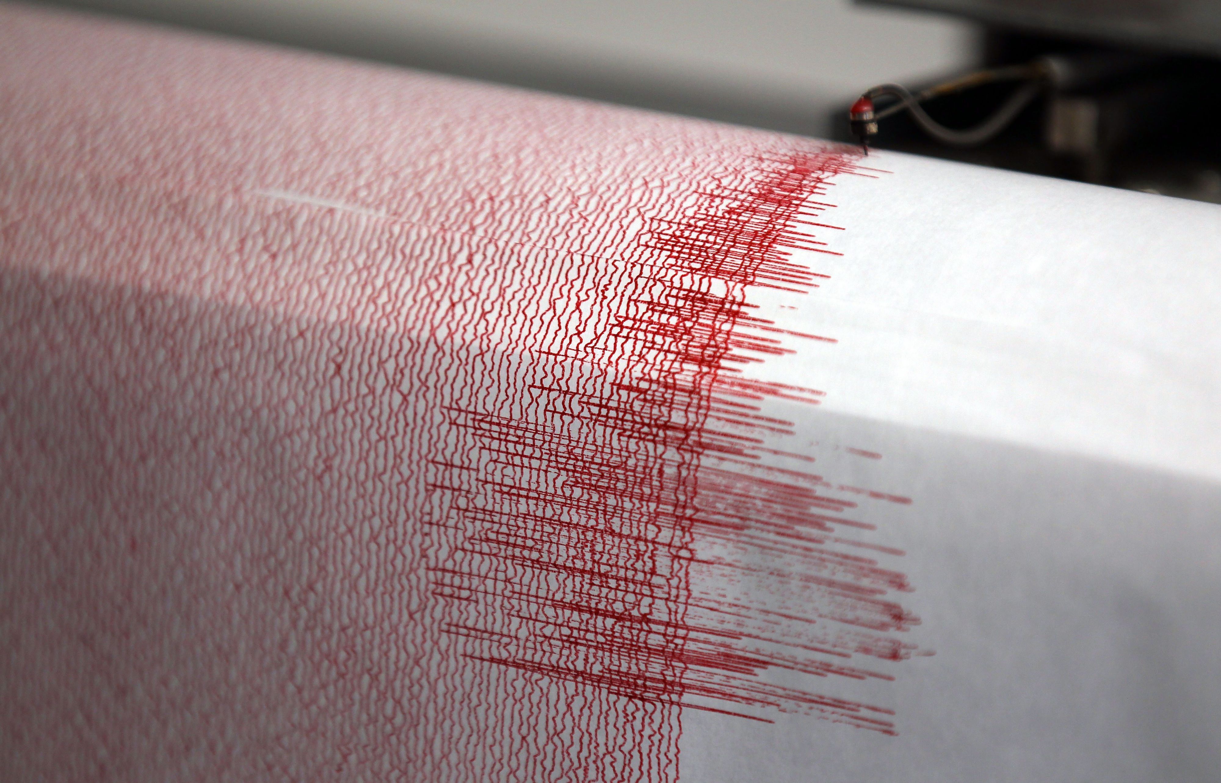In der Region Mannheim/Worms hat es ein Erdbeben gegeben (Symbolbild eines Seismographen).