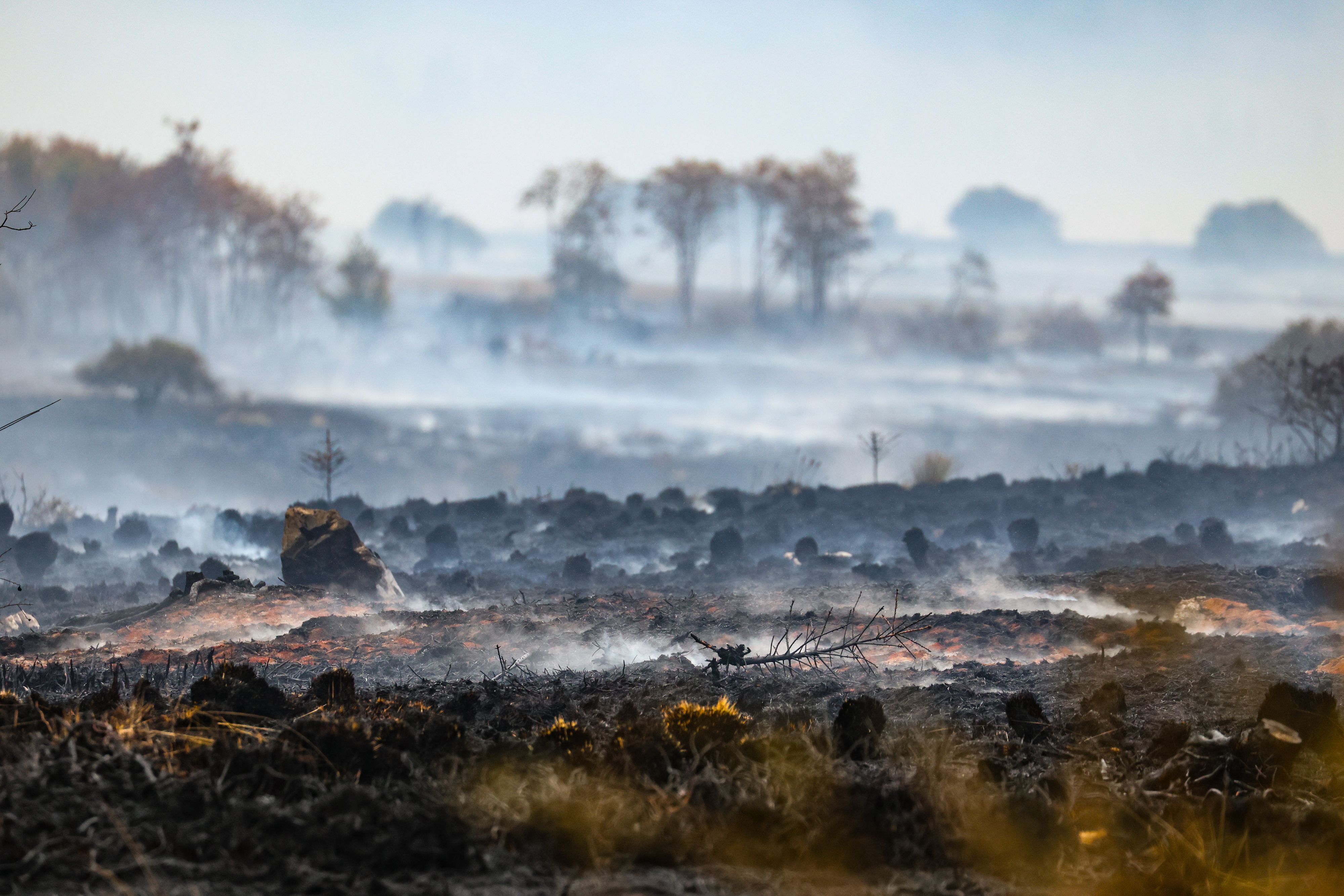 Rauch über der verbrannten Landschaft am Ort des Brandes im Naturschutzgebiet Hohes Venn.