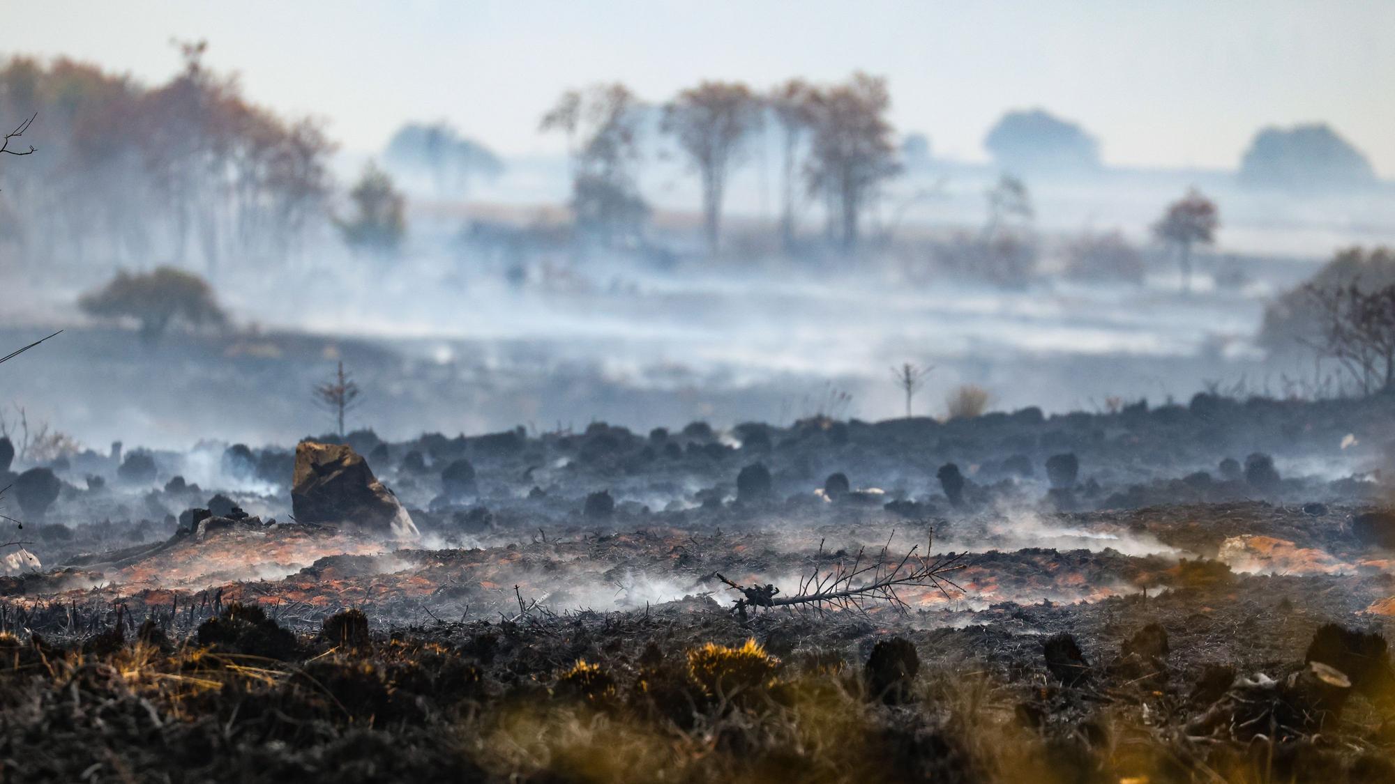 Rauch über der verbrannten Landschaft am Ort des Brandes im Naturschutzgebiet Hohes Venn.