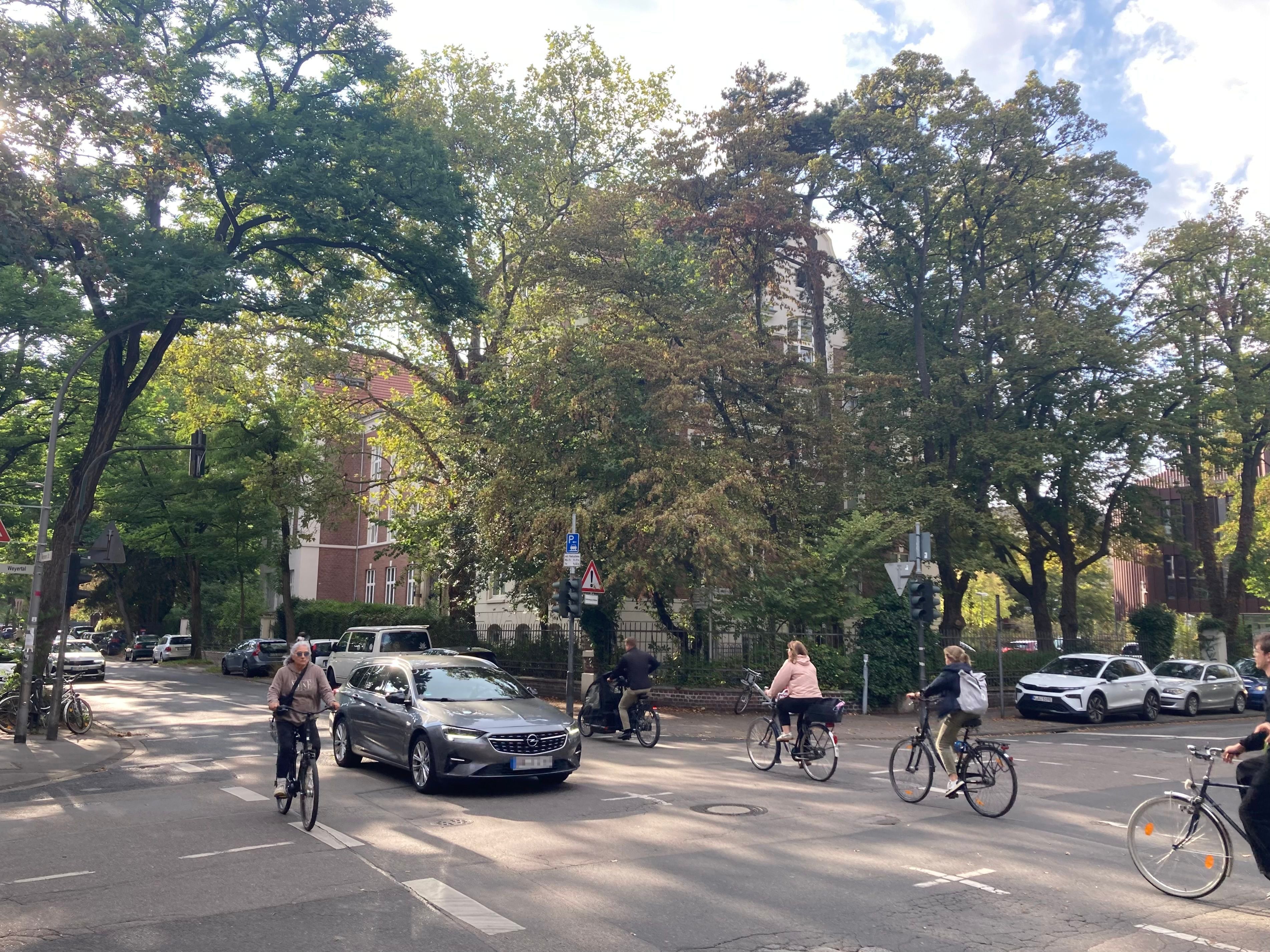 Kerpener Straße/Ecke Weyertal in Köln-Lindenthal: Unter den grünen schattigen Bäumen fahren viele Kölnerinnen und Kölner zur Arbeit oder zur Universität. Wenn die Semesterferien vorbei sind, ist die Straße noch deutlich mehr befahren.