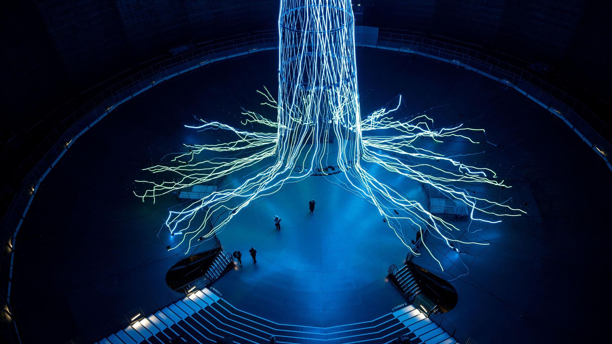Die Lichtinstallation „Der Baum“ von Ars Electronica Solutions steht Ausstellung «Mythos Wald».