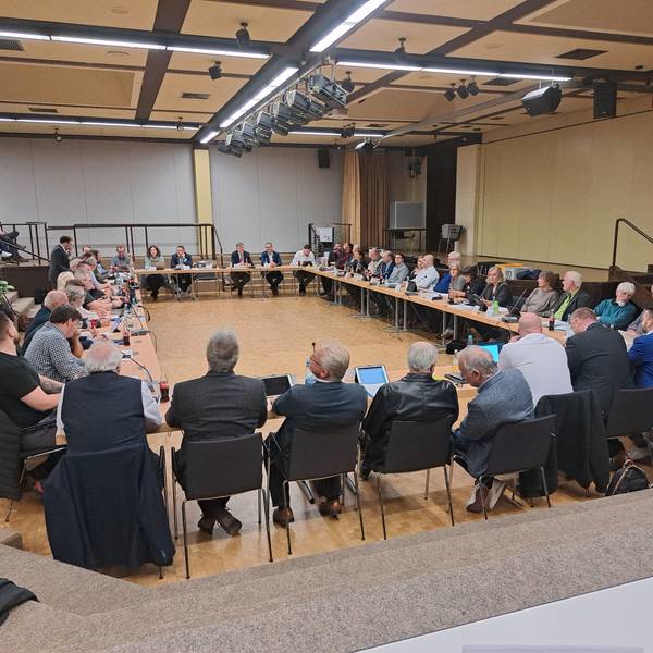 Im Niederkasseler Stadtrat gibt es nach dem Austritt von drei Politikern aus der WIN-Fraktion und der Neugründung der Bürgerfraktion Niederkassel jetzt insgesamt acht Fraktionen.