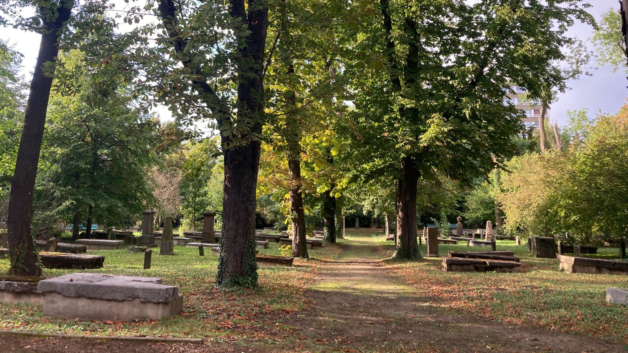 Der versteckte Geusenfriedhof ist der älteste Friedhof im Rheinland, Grabdenkmäler reichen bis ins 16. Jahrhundert zurück.
