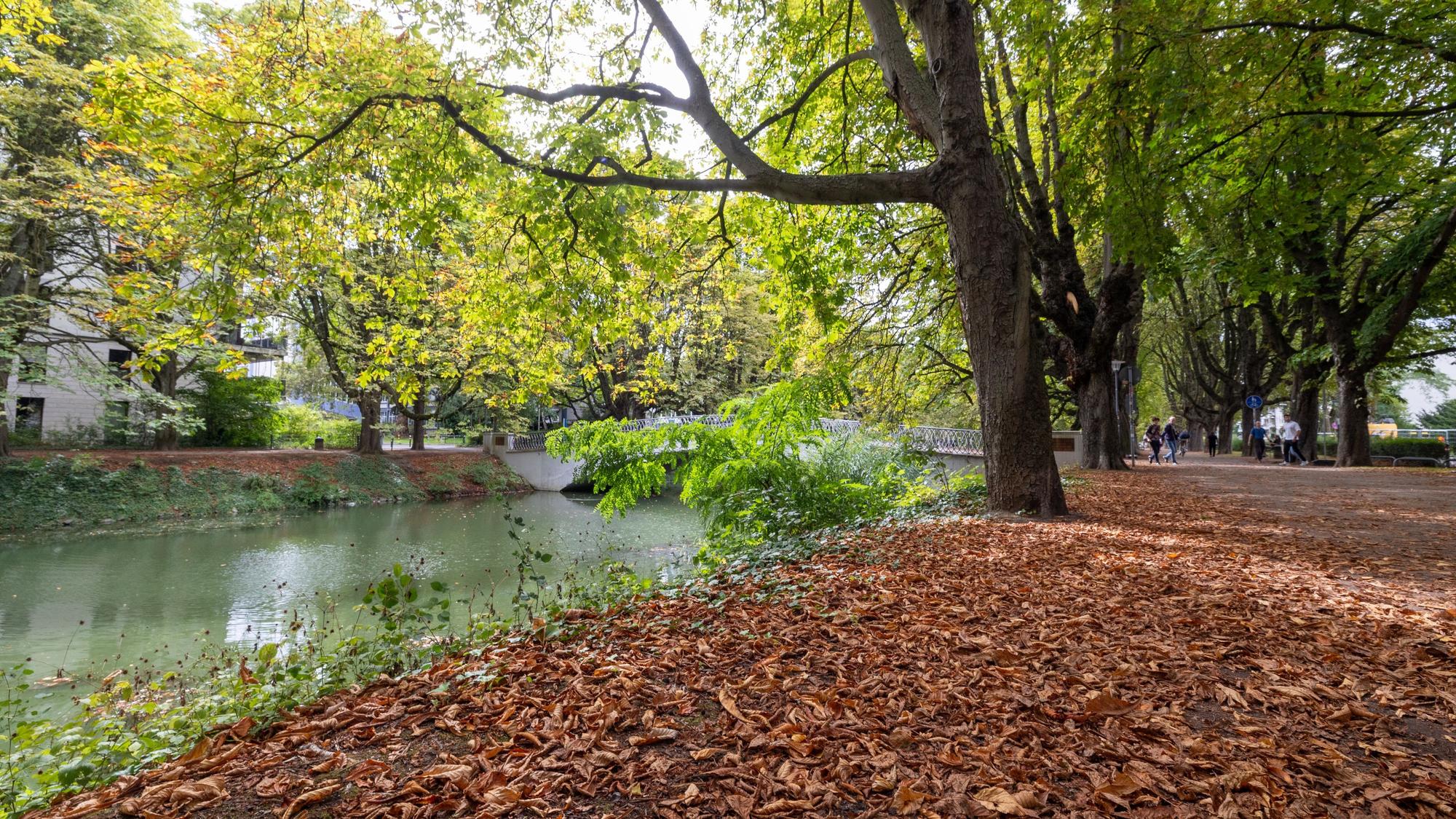 Durch die Trockenheit sieht Rautenstrauch-Kanal in Lindenthal schon jetzt aus wie im Oktober.