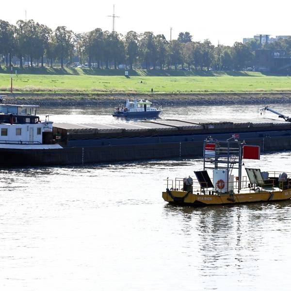 Festgefahrener Frachter im Rhein.