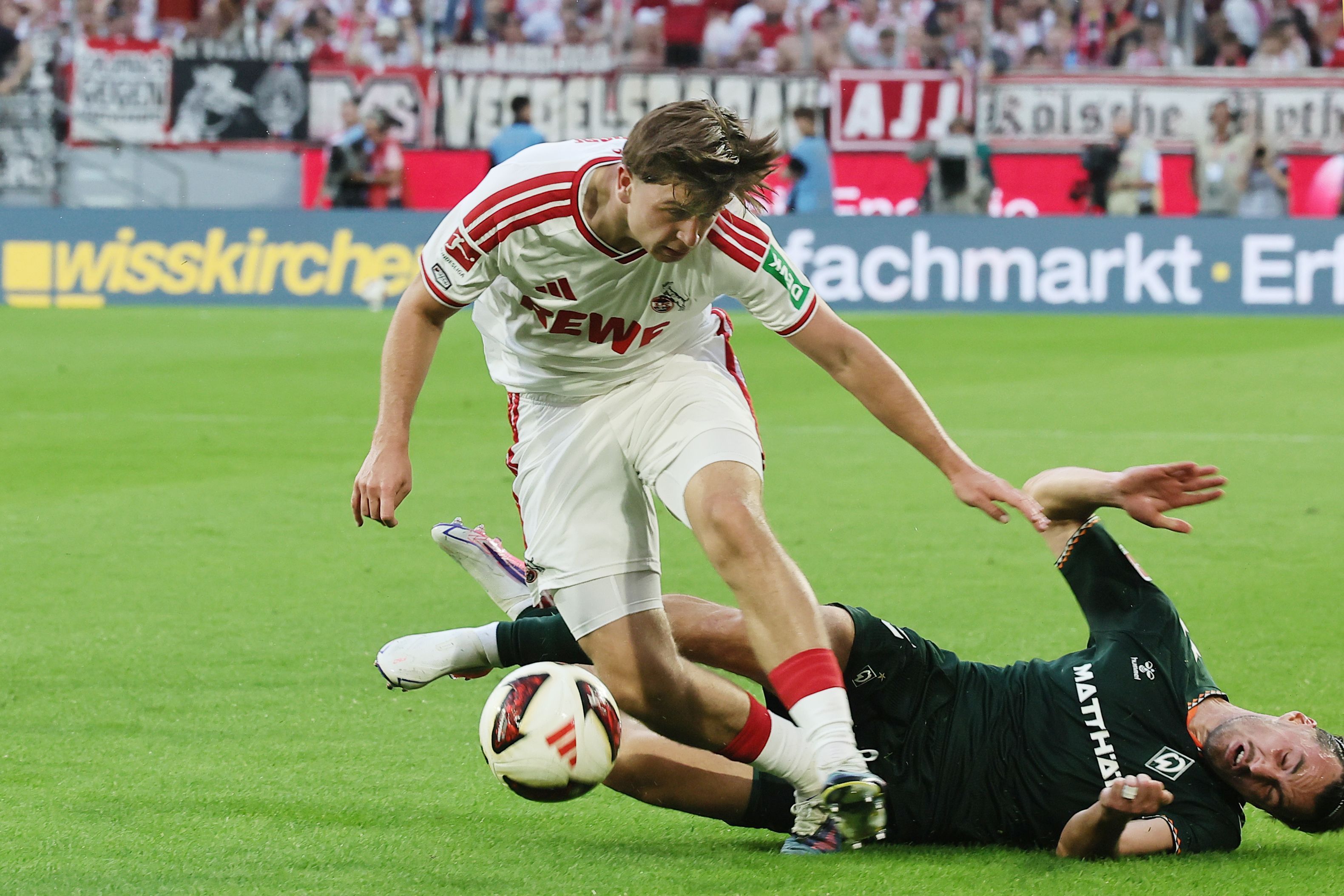 1. FC Köln vs. Werder Bremen, 3. Spieltag, 12.09.2026, 18.30 Uhr, links: Mikey Moore (1. FC Köln), Bild: Herbert Bucco
