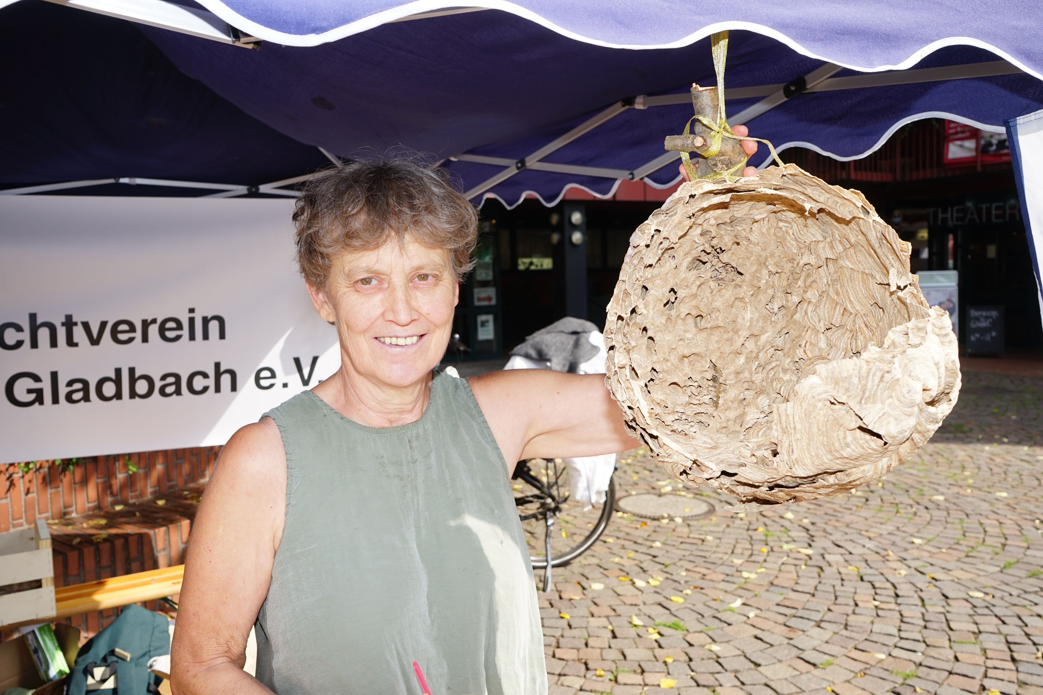 Ulla Hermes hält ein Nest der Asiatischen Hornisse.